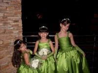 /album/galeria-de-fotos/imagem-009-jpg/